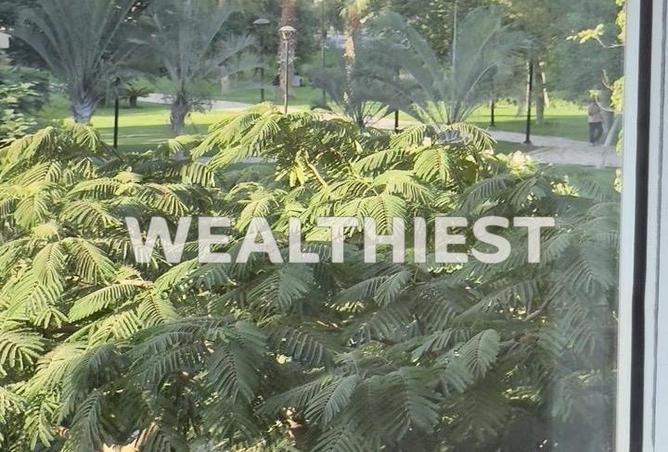 52972774 - صورة العقار 2