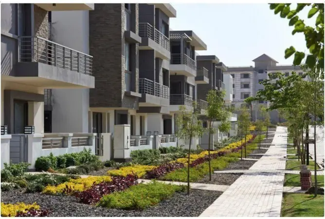110741671 - Property Image 3