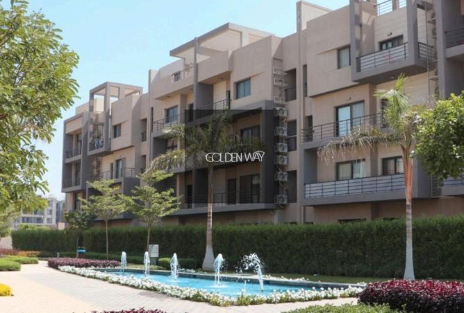 53735475 - Property Image 3