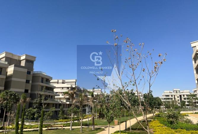 8564825 - Property Image 3