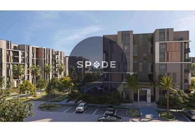 52462957 - Property Image 2