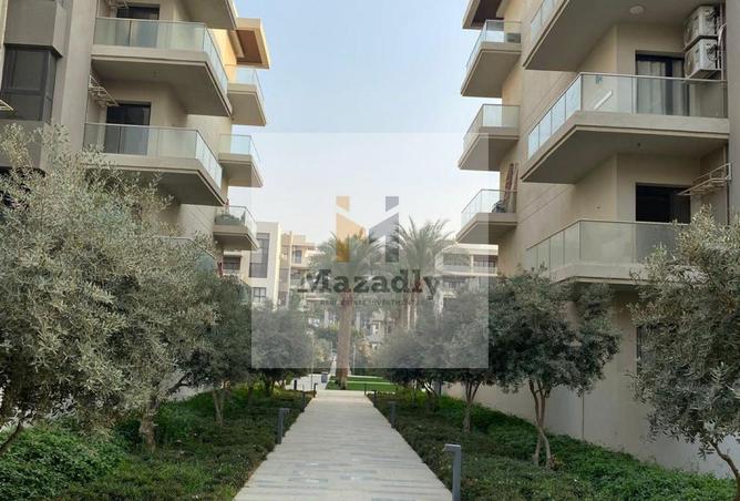 52712985 - صورة العقار 2