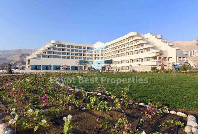 64895537 - Property Image 3