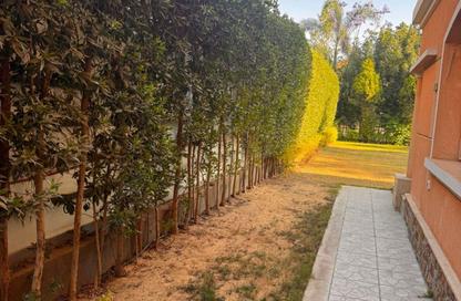 Villa - 3 Bedrooms - 3 Bathrooms for rent in Privado - Madinaty - Cairo Villa - 3 Bedrooms - 3 Bathrooms for rent in Privado - Madinaty - Cairo