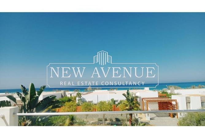 63130216 - Property Image 3