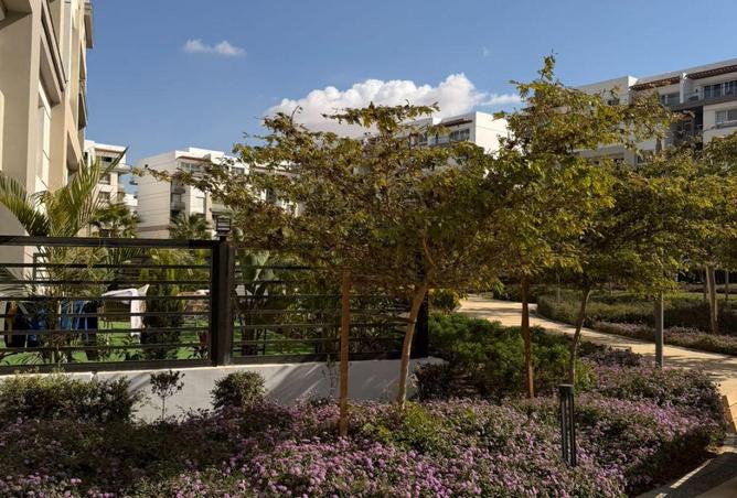 53973970 - الصورة الرئيسية للعقار