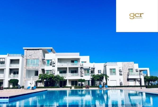 64647204 - صورة العقار 2