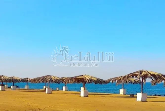 111608363 - صورة العقار 3