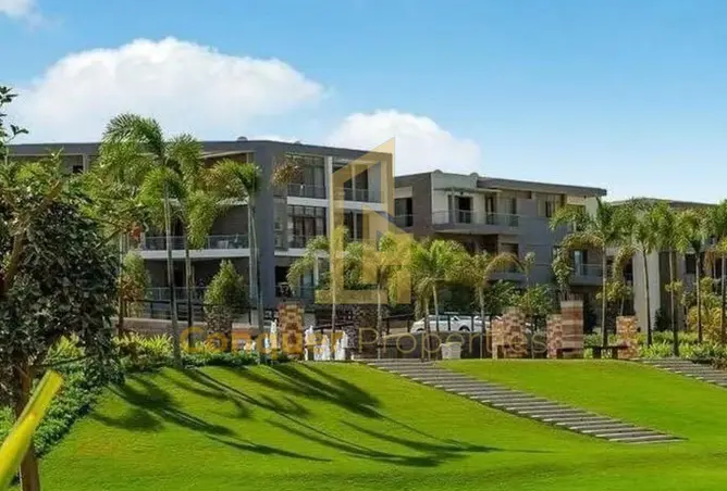 117539011 - Property Image 2