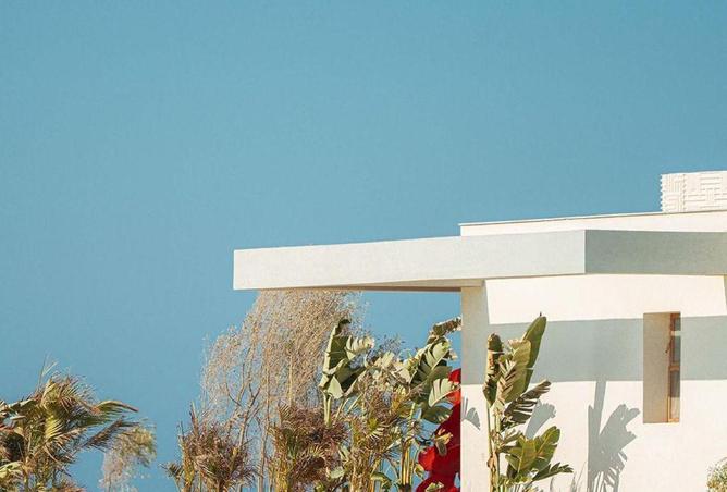 56247411 - Property Image 3