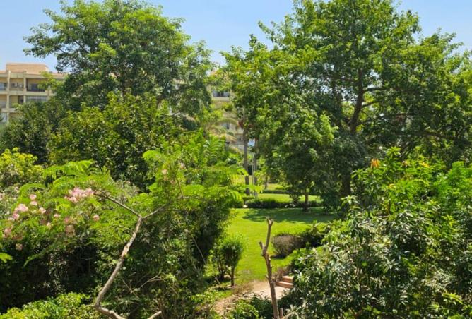 62173079 - صورة العقار 3