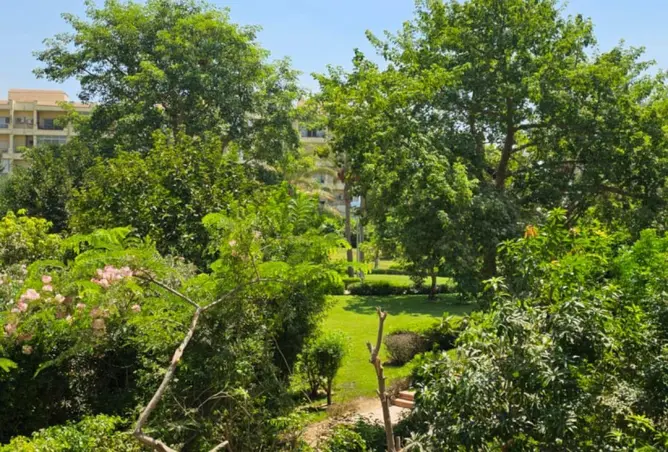 62173079 - Property Image 2
