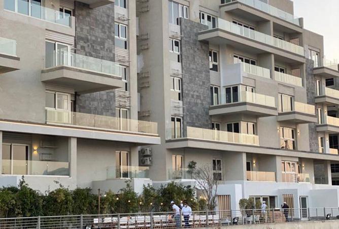 54500784 - Property Image 3