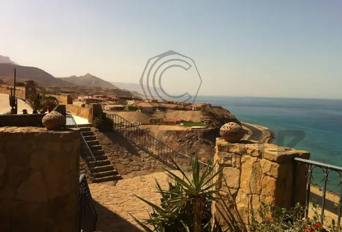 117535536 - صورة العقار 2