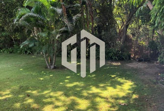 70087491 - صورة العقار 3