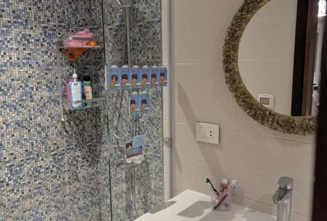 116753176 - Property Image 3