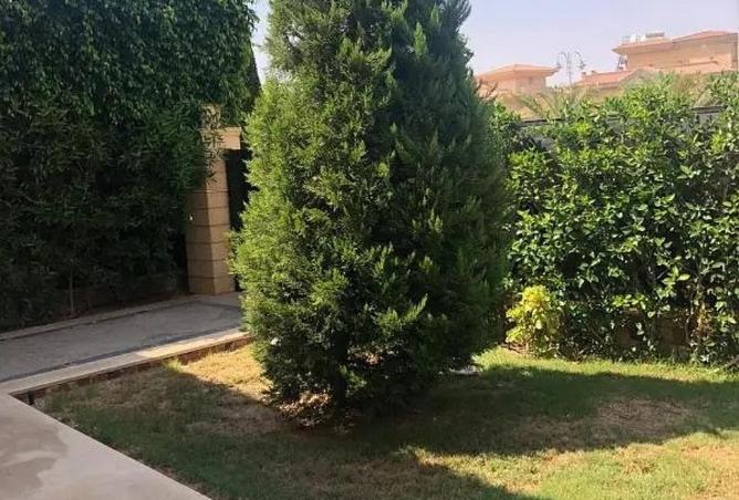 55761889 - صورة العقار 2