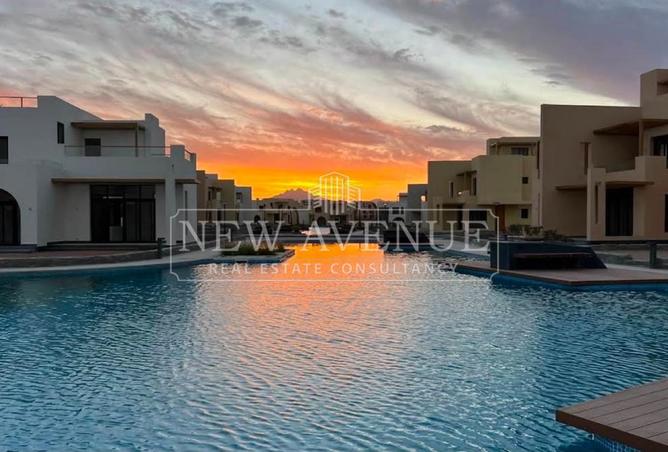 98819194 - Property Image 3