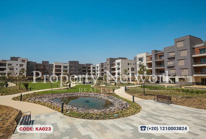 67216852 - صورة العقار 3