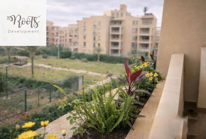 8540835 - Property Image 3