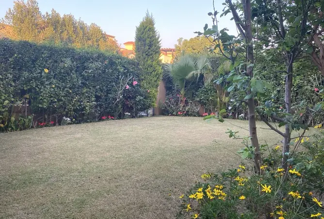 116481643 - صورة العقار 3