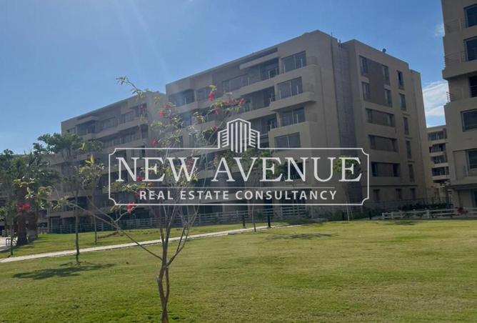 66692298 - Property Image 3