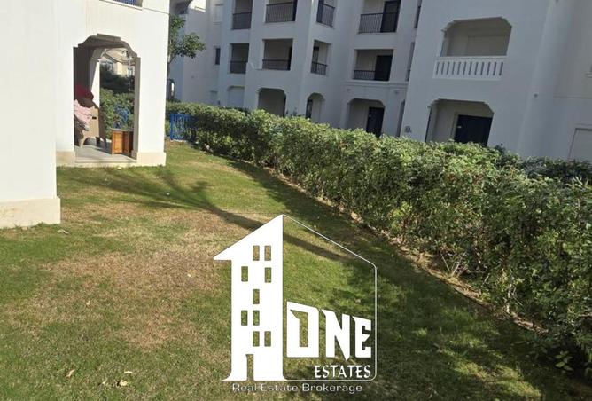 64641300 - Property Image 3