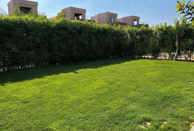 96035903 - Property Image 2