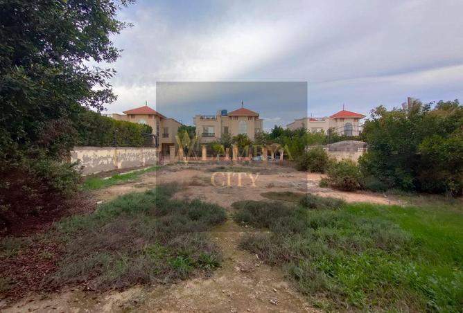 8557644 - صورة العقار 3