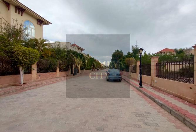 8557644 - صورة العقار 2