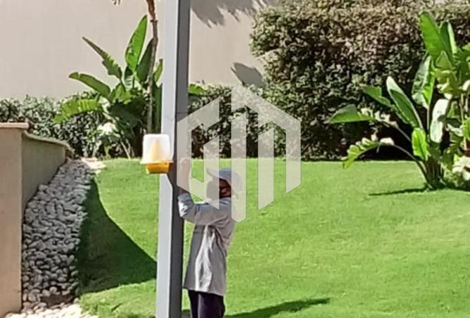 56496338 - صورة العقار 3