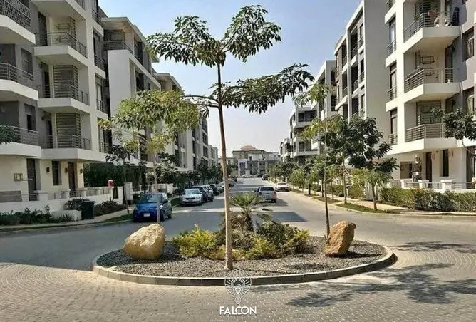 117527150 - صورة العقار 3