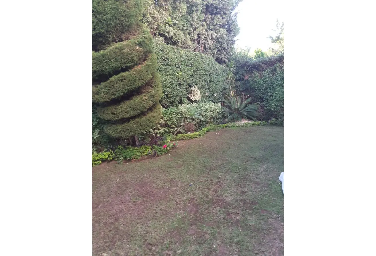 113245995 - الصورة الرئيسية للعقار