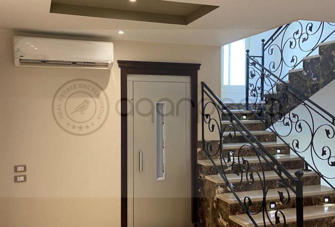 55508392 - Property Image 3