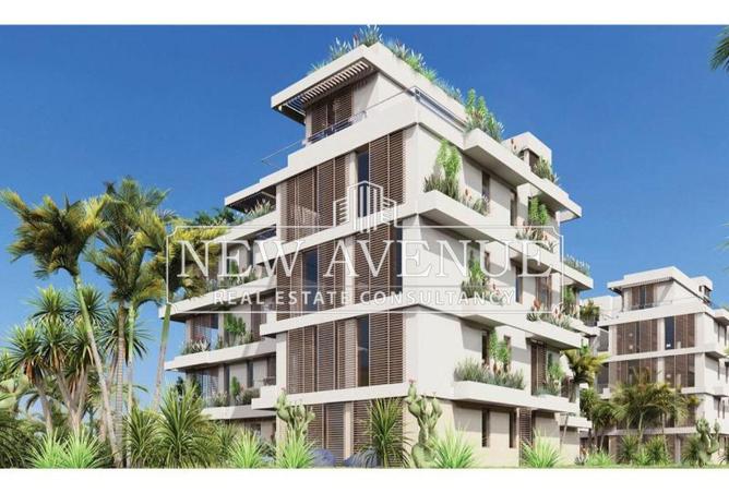 67729749 - صورة العقار 3