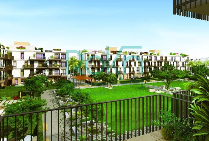 66174517 - Property Main Image