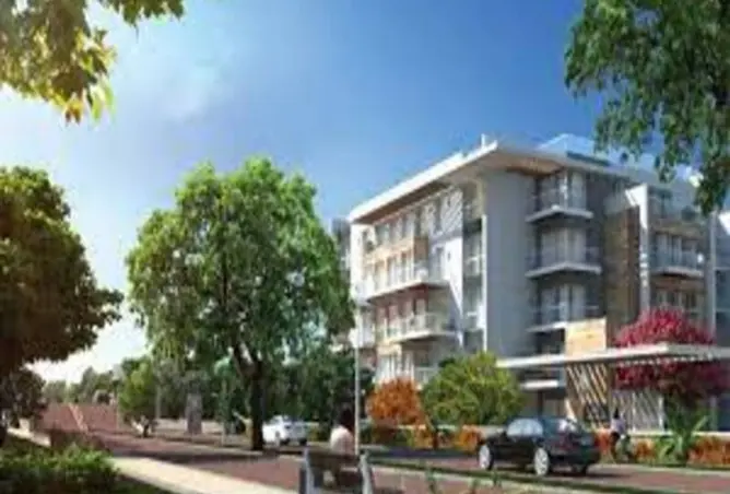 112705818 - Property Image 3