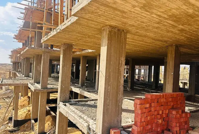 51110546 - Property Image 3
