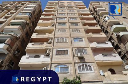 Office Space - Studio - 2 Bathrooms for rent in Degla Square - Degla - Hay El Maadi - Cairo