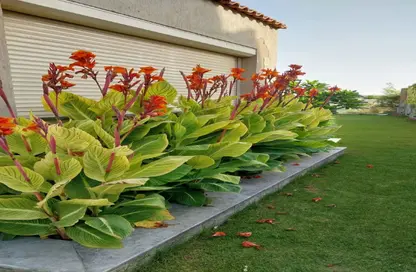 Twin House - 3 Bedrooms - 3 Bathrooms for rent in Palm Hills Golf Extension - Al Wahat Road - 6 October City - Giza