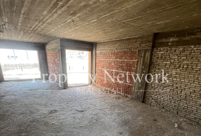 113256178 - Property Image 3