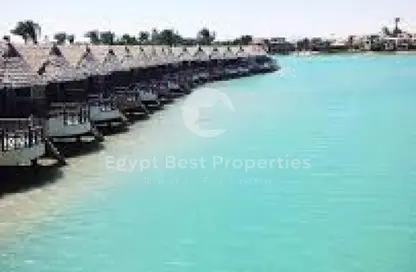 Apartment - 3 Bedrooms - 3 Bathrooms for sale in Mangroovy Residence - El Gouna - Hurghada - Red Sea