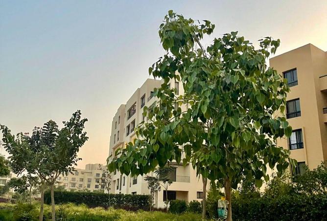 8543405 - صورة العقار 2