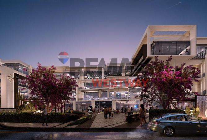 8560306 - Property Image 3