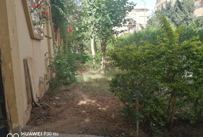 55755822 - صورة العقار 2