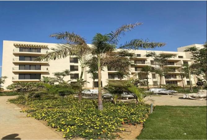 8567850 - Property Image 2