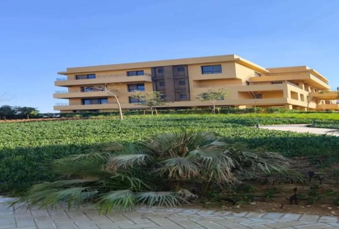 8567850 - Property Image 3