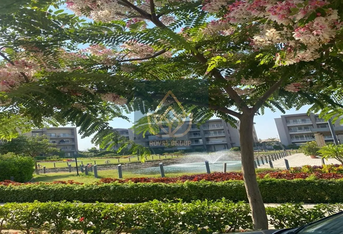 113800322 - الصورة الرئيسية للعقار