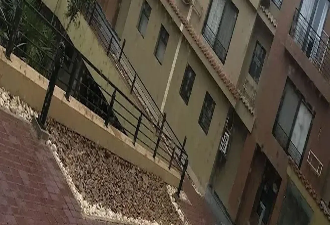 111591621 - الصورة الرئيسية للعقار