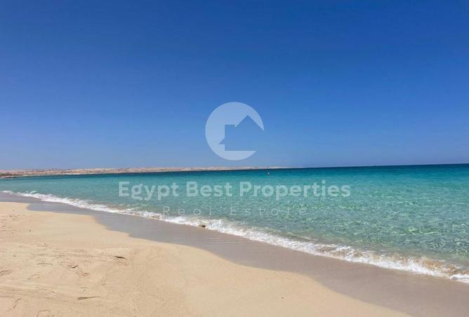 101787520 - صورة العقار 3
